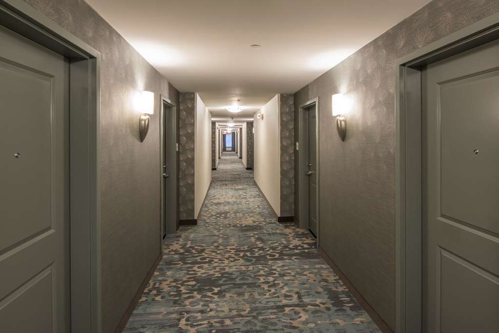 Hilton Garden Inn Mount Holly/Westampton Интерьер фото
